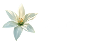 LAVİNA SPA BEYLİKDÜZÜ